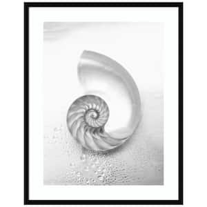 "Pearl Nautilus Shell Cut In Half" 1-Piece Wood Framed Black and White Nature Photography Wall Art 33 in. x 26 in.