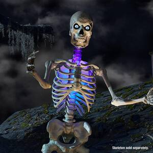 12 ft. Skeleton Lighting Kit