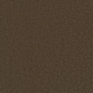 Added Value - Fame - Brown 24 oz. SD Polyester Texture Installed Carpet