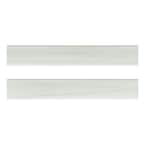 Eden Dolomite Bullnose 4 in. x 24 in. Porcelain Wall Tile (10 lin. ft./Case)