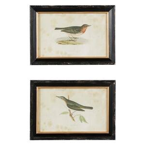 2- Panel Bird Framed Wall Art with Black Frame 14 in. x 20 in.