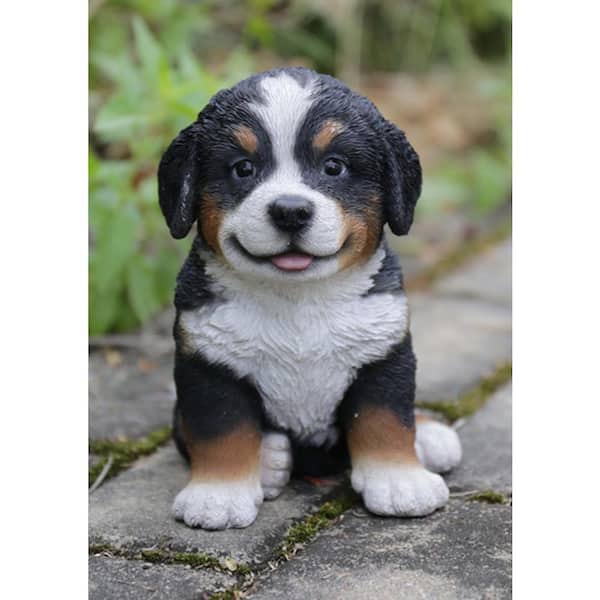 HI-LINE GIFT Bearnese Mountain Dog Puppy Statue 87771-T The