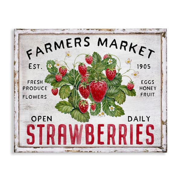 Stupell Industries Farmers Market Strawberries by Creatif Belle Unframed Food Graphic Art Print 16 in. x 20 in.