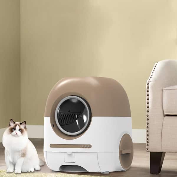 置物 maocat Amazon.com: TXYXT Chinese Ceramic Lucky Cat - Japanese Cat