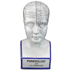 Porcelain Phrenology Novelty Head Statue