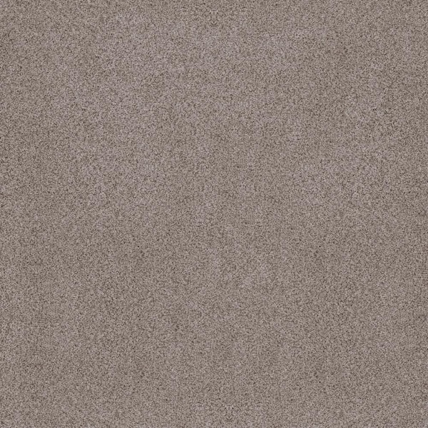 Sand Dunes I - Finn Brown 53 oz. Nylon Texture Carpet - Installation Required
