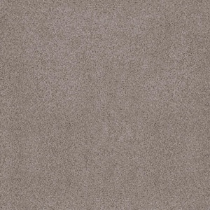 Sand Dunes II Finn Brown 62 oz. Nylon Texture Installed Carpet