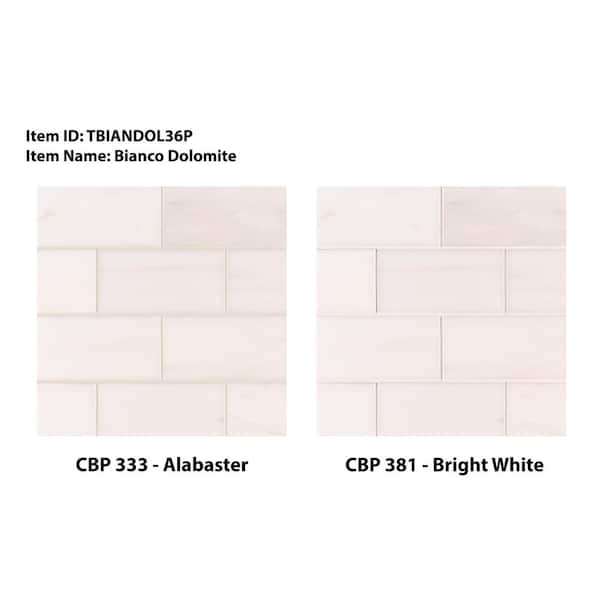 Stor mængde klasse slange MSI Bianco Dolomite 3 in. x 6 in. Polished Floor and Wall Marble Tile (1  sq. ft./Case)-TBIANDOL36P - The Home Depot
