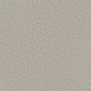 Misty Meadows II- Riverton Gray - 60 oz. SD Polyester Texture Installed Carpet