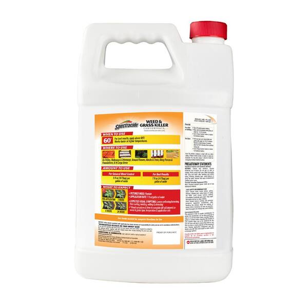 Spectracide 1 Gal Concentrate Weed And Grass Killer Hg 96620 The Home Depot