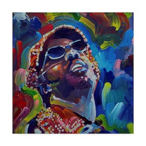 Howie Green 'Stevie Wonder' Canvas Unframed Photography Wall Art 18 in. x 18 in