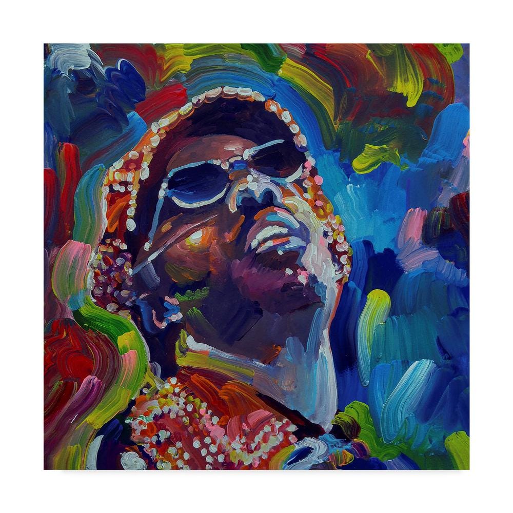 Howie Green 'Stevie Wonder' Canvas Unframed Photography Wall Art 18 in. x 18 in