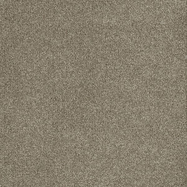 Home Decorators Collection Soft Breath Plus I - Sunset - Brown 40 oz. SD Polyester Texture Installed Carpet