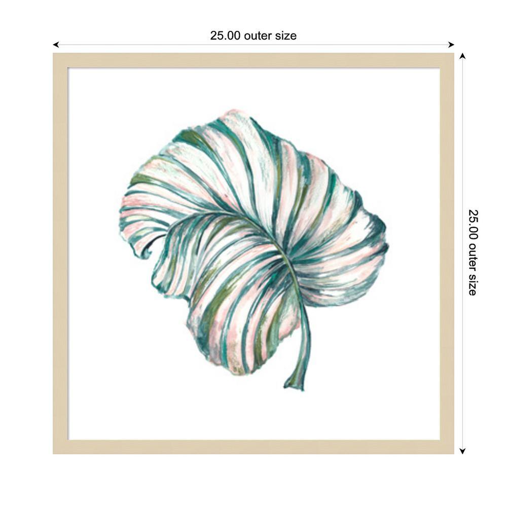 Island Leaf III 25"x25" Svelte Natural Wood Framed Wall Art Print