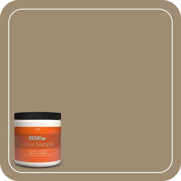 BEHR PREMIUM PLUS 8 oz. #T14-17 Archivist Flat Interior/Exterior Paint & Primer Color Sample