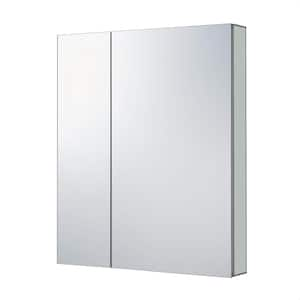 30 in. W x 36 in. H Rectangular Silver Recessed or Surface Wall Mount Medicine Cabinet with Mirror