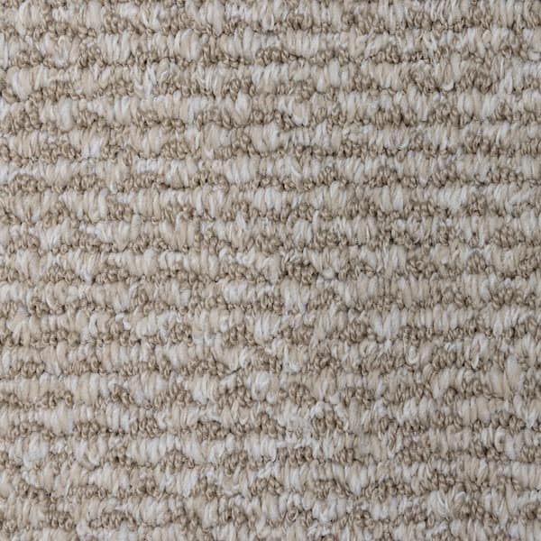 Home Decorators Collection 8 in. x 8 in. Loop Carpet Sample - Dark Paradise - Color Unwind