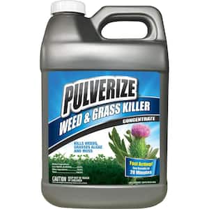 Weed and Grass Killer, 2.5 Gal. Concentrate