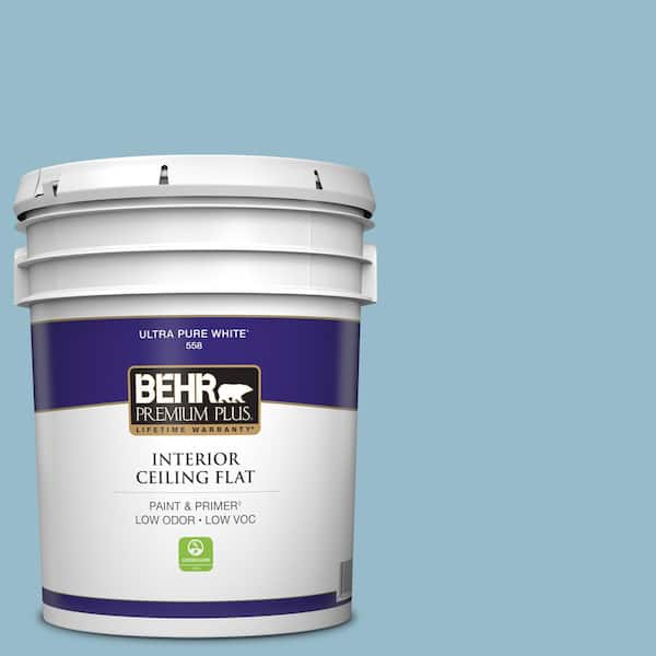 5 gal. #S480-3 Sydney Harbour Ceiling Flat Interior Paint