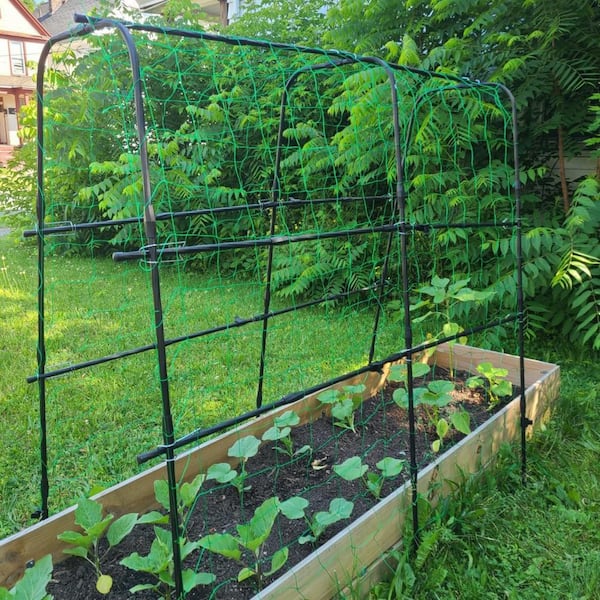 64 in. W x 64 in. H Black Metal Garden Cucumber Trellis for