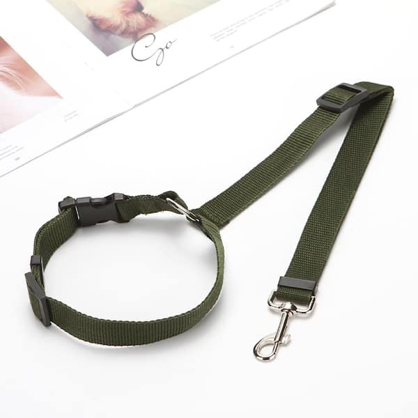 Dog leash home clearance depot