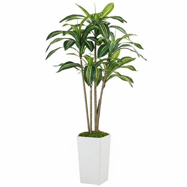 Unbranded 5 ft. Artificial Dracaena Tree in White Tall Planter Indoor Faux  Plant for Home Office Living Room Garden Decor 59C1124D2074