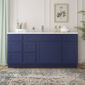 66 in. W x 21 in. D x 32.5 in. H Bath Vanity Cabinet without Top in Blue