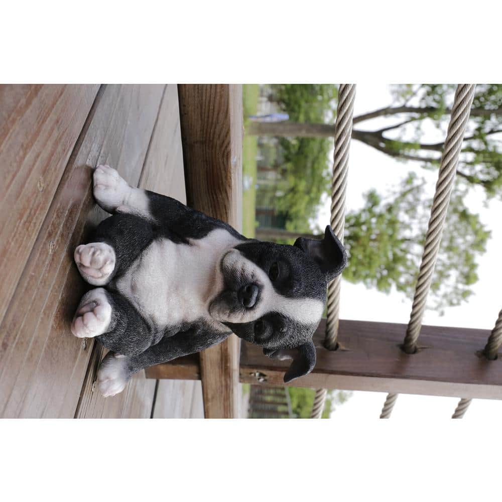 Sleepy Black and White Boston Terrier Puppy Polyresin Statue