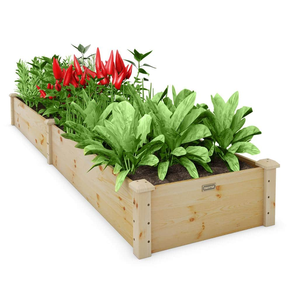 ECOgardener Raised Bed Planter 4x4 Outdoor Wooden Raised Garden Bed Kit for Vegetables Fruit Herbs Flowers and Plants Tiered Design