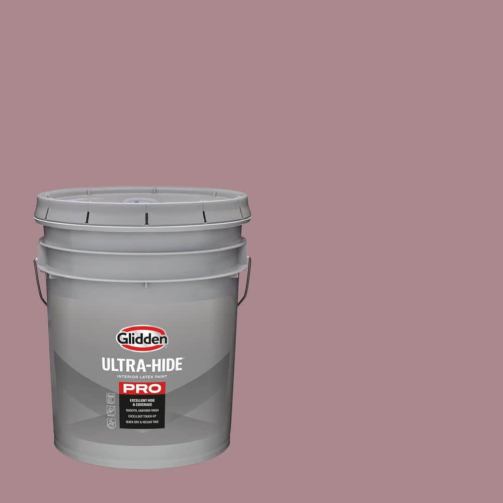 1 gal. PPG1048-5 Coffee Rose Eggshell Interior Paint price history on PriceWatchPro