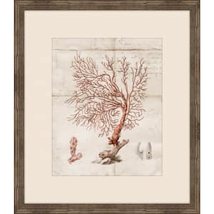 Gorgone Ancien III Framed Giclee Coastal Art Print 27 in. x 31 in.