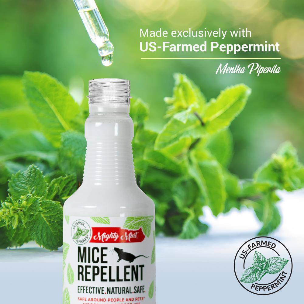 Buy 16 oz. Peppermint Oil Mice Repellent Spray Non Toxic Online at