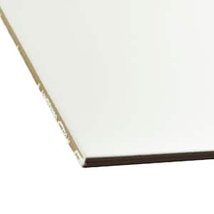 Lacour Basic White 9-3/4 in. x 9-3/4 in. Porcelain Floor and Wall Tile (10.76 sq. ft. / case)