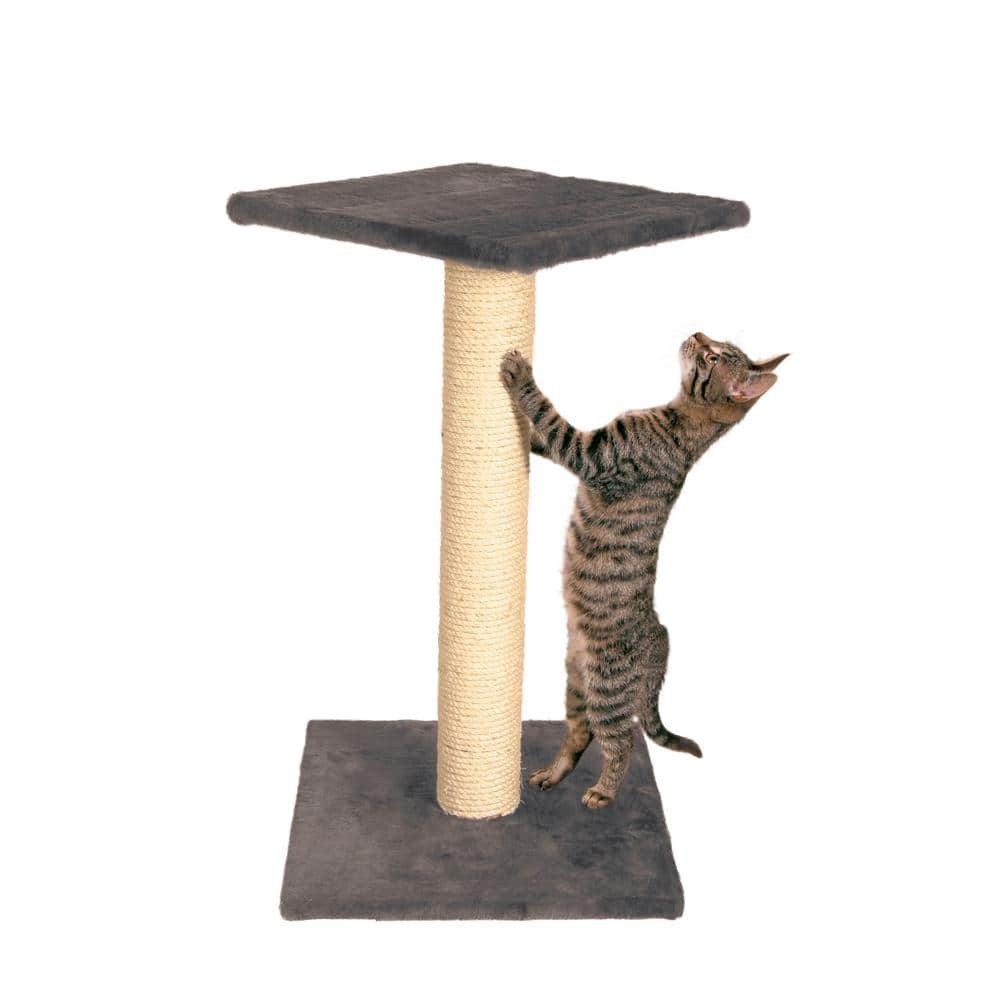 Trixie parla scratching outlet post