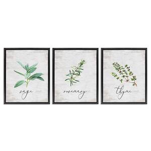 Charm Summer Kitchen Herbs by Lettered and Lined 3 Pieces Floater Frame Typography Graphic Art Print 31 in. x 25 in.