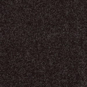 Palmdale I - Stallion - Gray 17.6 oz. Polyester Texture Installed Carpet