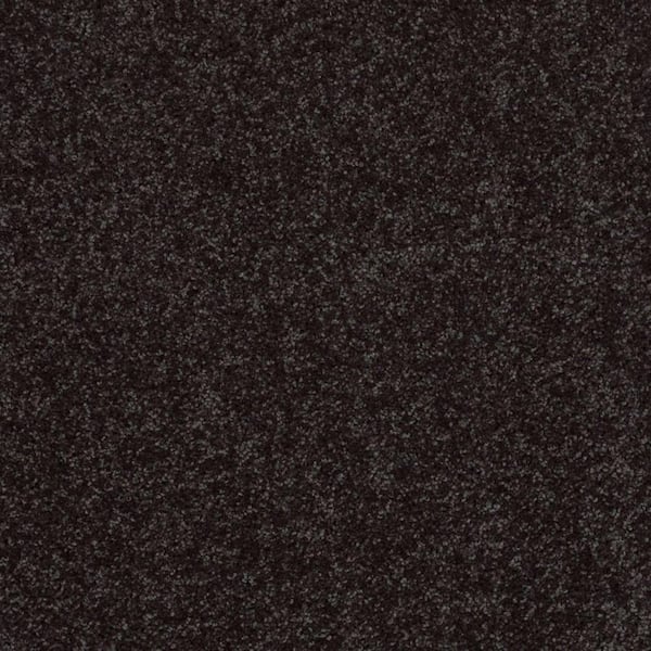 TrafficMaster Palmdale I - Stallion - Gray 17.6 oz. Polyester Texture Installed Carpet