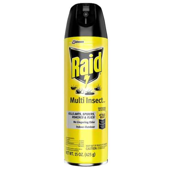 Raid 15 oz. Multi Insect Killer (12 per Case)