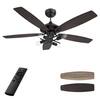 CARRO Keller 52 in. LED Indoor Black DC Motor Ceiling Fan with Light ...