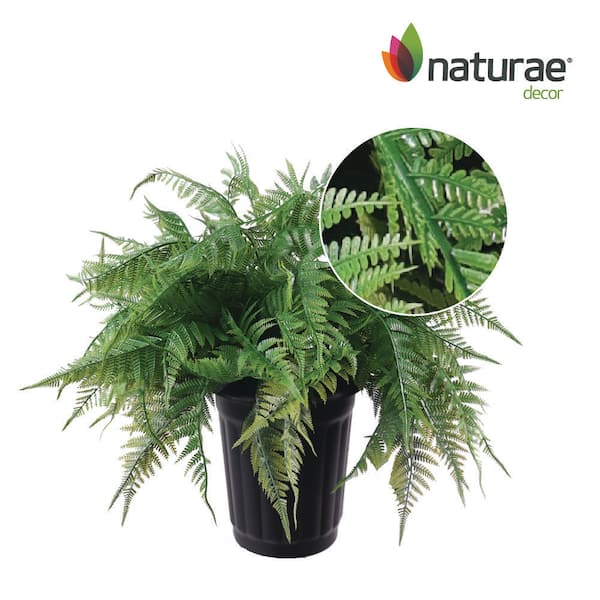 NATURAE DECOR Artificial 16 in. Indoor and Outdoor Fern in Plastic