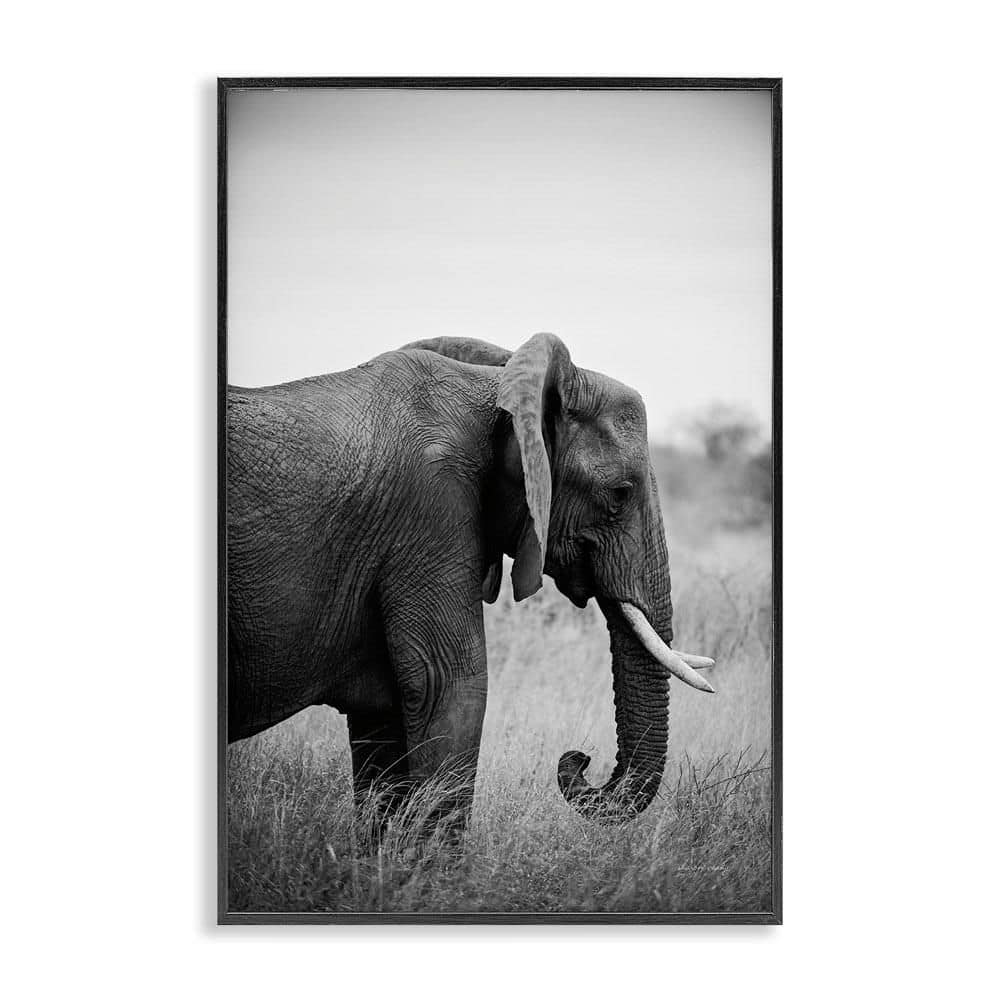 Side Profile Elephant by Sharon Vardy Black Framed Animal Giclee Art Print 24 in. x 16 in. price history on PriceWatchPro