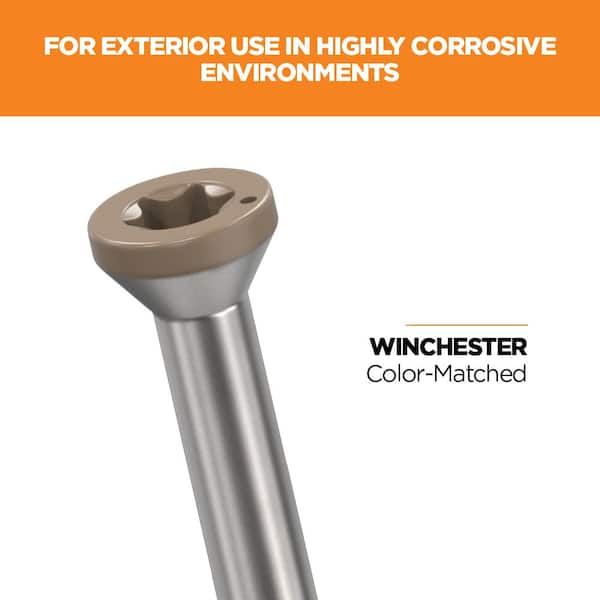2-1/2 in. #8 316 Stainless Steel Winchester Premium Star Drive Trim Screws (100-Count)