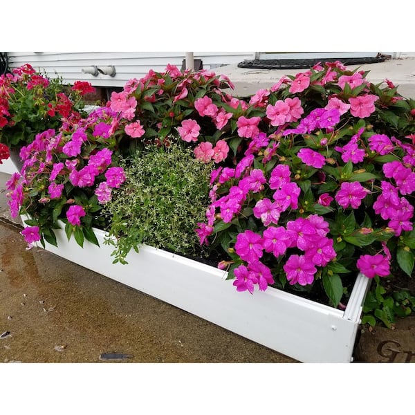 25 in. x 48 in. x 6 in White Vinyl Raised Garden Bed