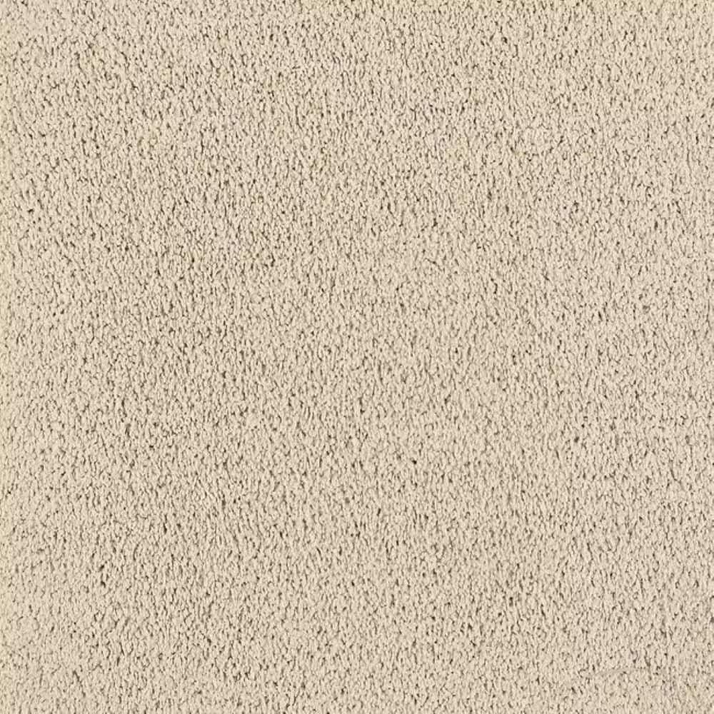8 in. x 8 in. Texture Carpet Sample-Whisk & Whimsy I-Color Bare Essence price history on PriceWatchPro