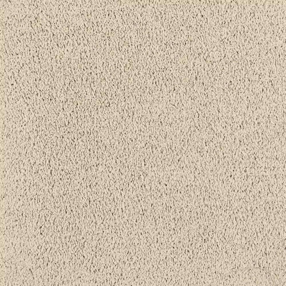 8 in. x 8 in. Texture Carpet Sample-Whisk & Whimsy II-Color Bare Essence price history on PriceWatchPro