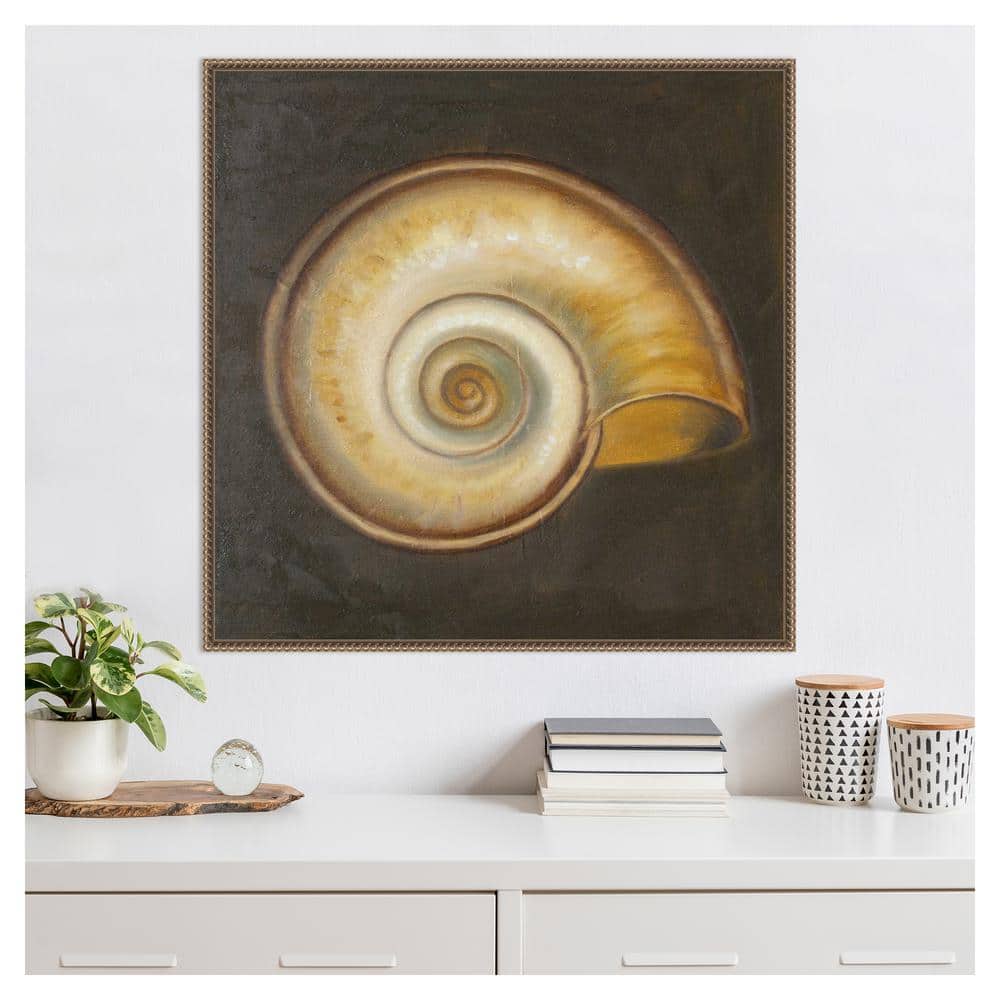 30"x30" Seashell I by Patricia Pinto Framed Canvas Wall Art Print Bronze - Amanti Art: Hand-Stretched, Madison WI, Nautical Decor