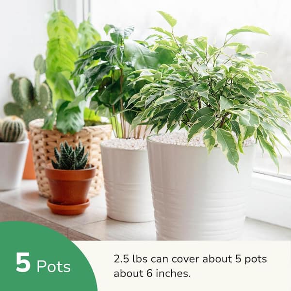 GASPRO Small Rocks Decorative Rocks White Pebbles for Indoor Plants