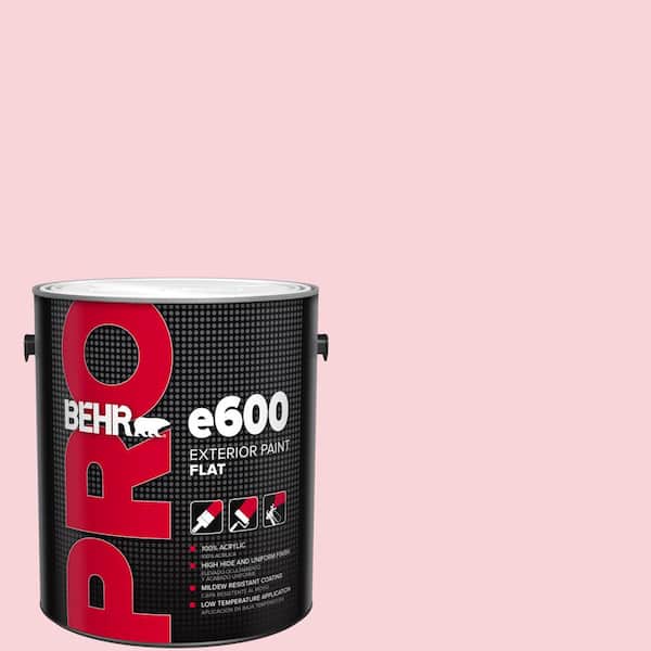 BEHR PRO 1 gal. #120A-3 Lovelight Flat Exterior Paint