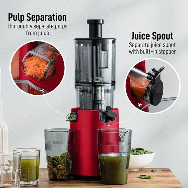 Zulay Kitchen Cold Press 200W 16oz Juicer Slow Masticating with