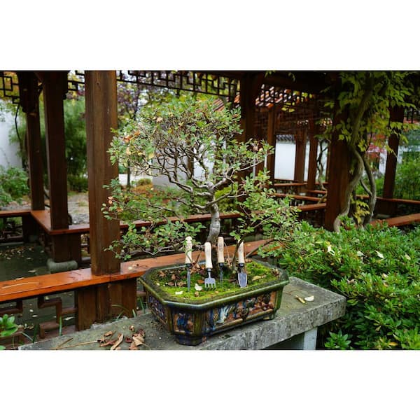 DeWit 4-Piece Bonsai Tool Kit 31-3478 - The Home Depot